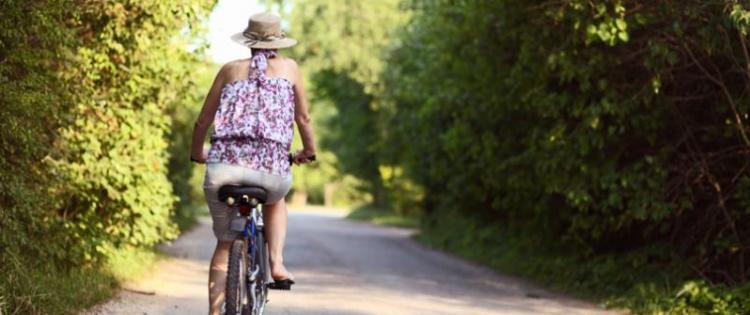 Photo of a woman riding her bike down a paved, tree-lined road.